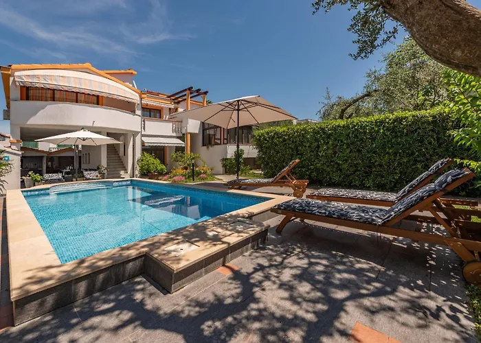 Petra Zadarvillas *